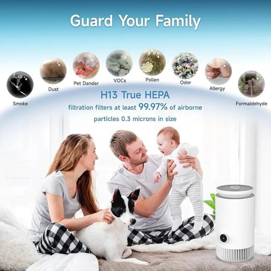 2-in-1 Humidifier & Air Purifier